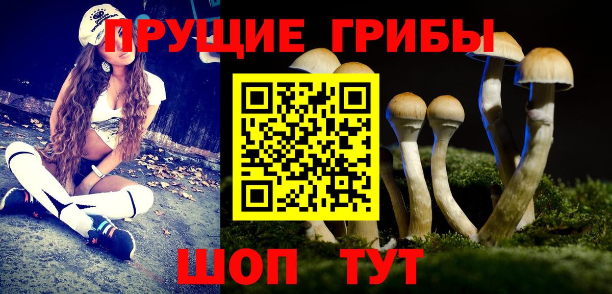 Галлюциногенные грибы мицелий  Вход с VPN  Галлюциногенные грибы Psilocybe  Баксан 